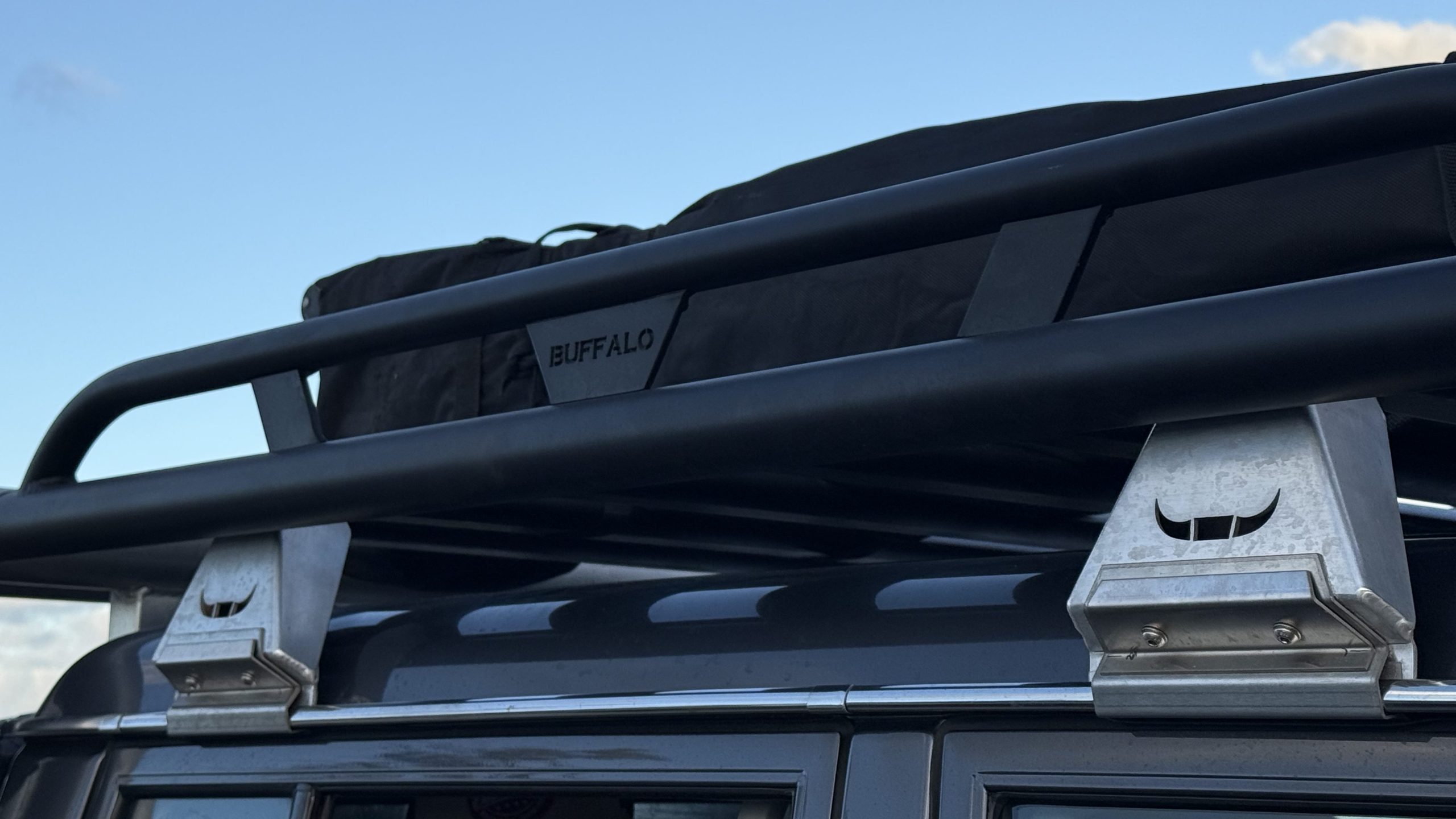 Home Buffalo Logo Cut into Alloy Railing.