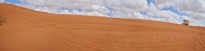Desert   